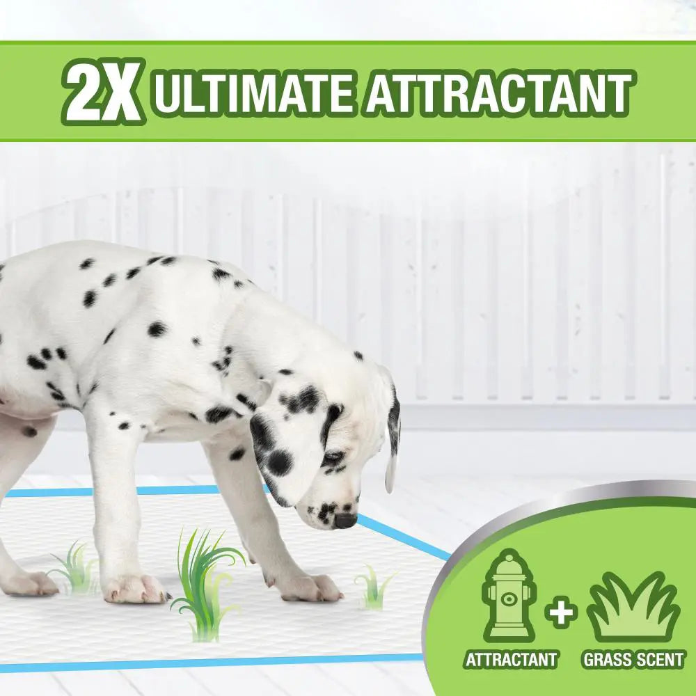 Four Paws Wee-Wee Pads with Grass Scent 10und